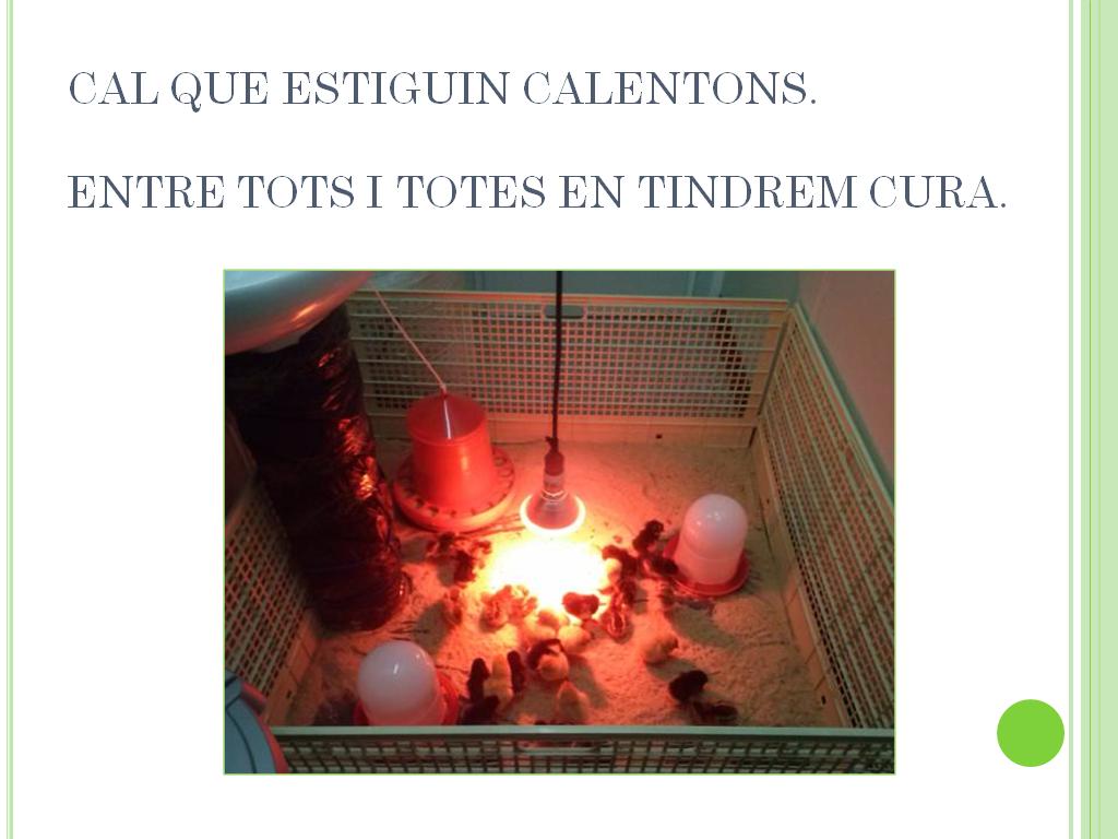 pollets_4