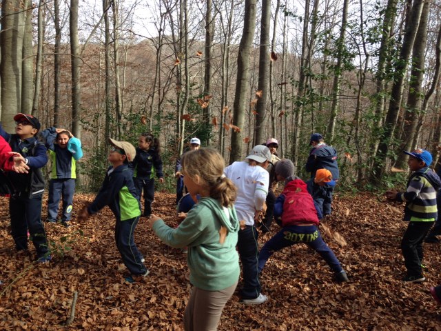 8370520151757b918d2782c835630a98