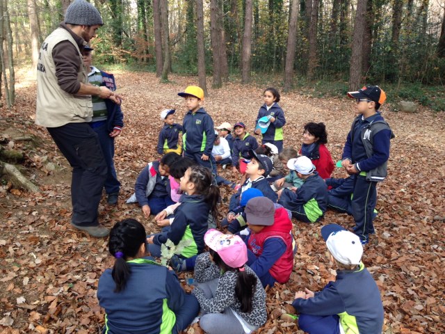 97d47af4ef43f552c2d5a61f18a1f1684