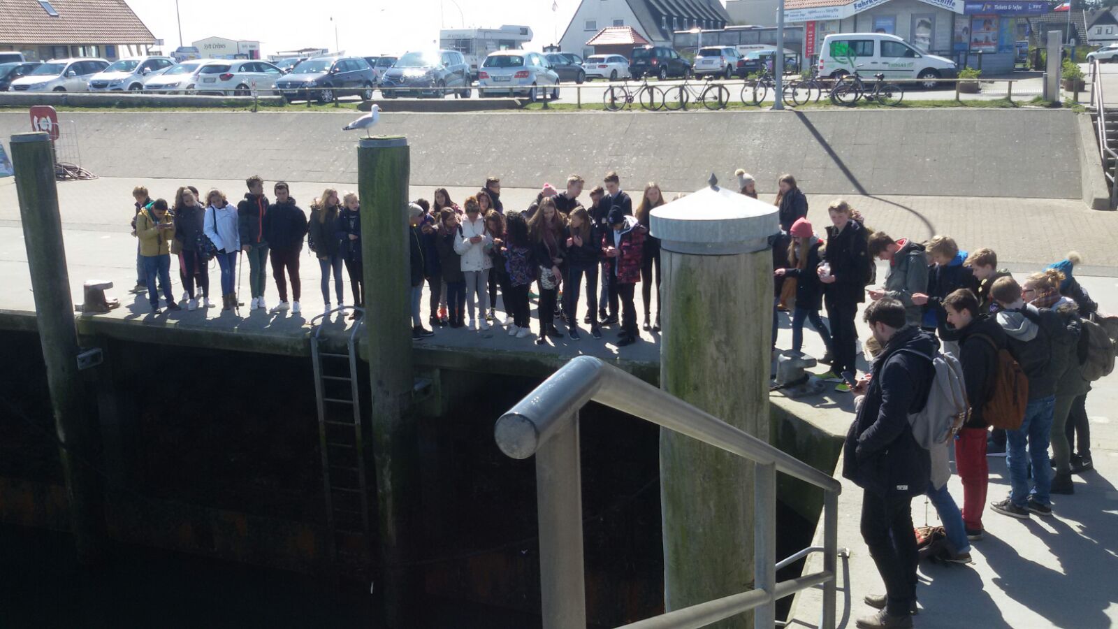 WhatsApp-Image-20160428 (17)