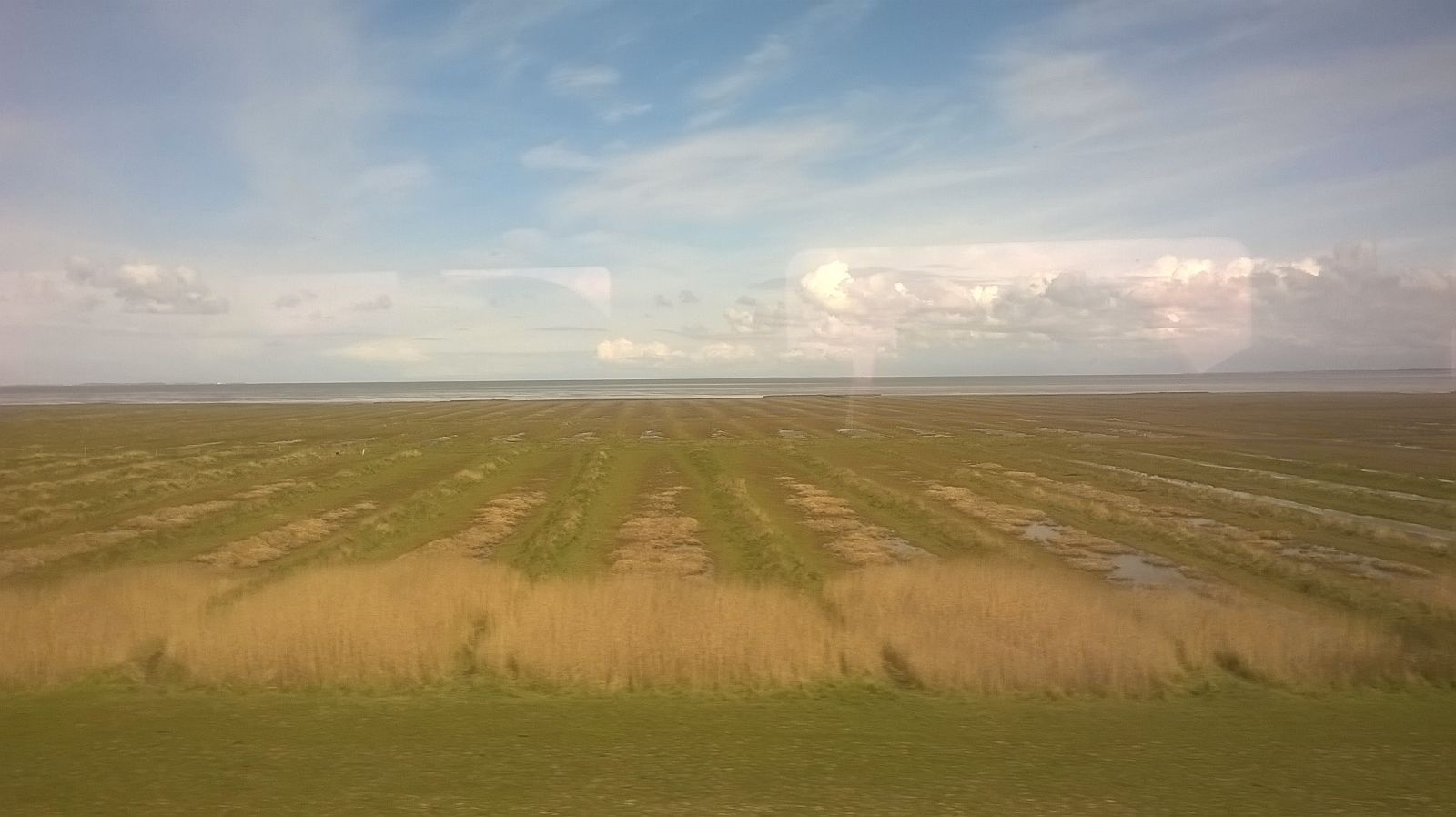 WhatsApp-Image-20160428