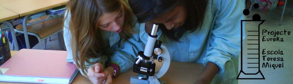 Projecte Eureka!