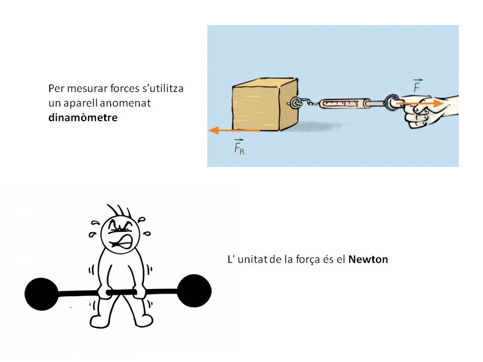 Diapositiva5