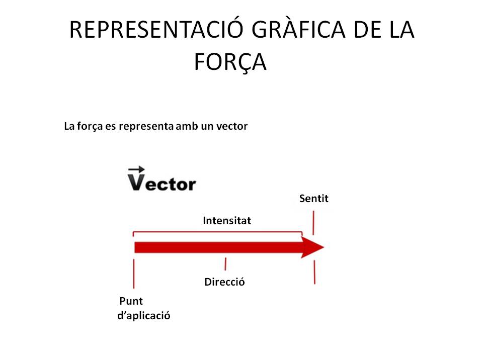 Diapositiva6