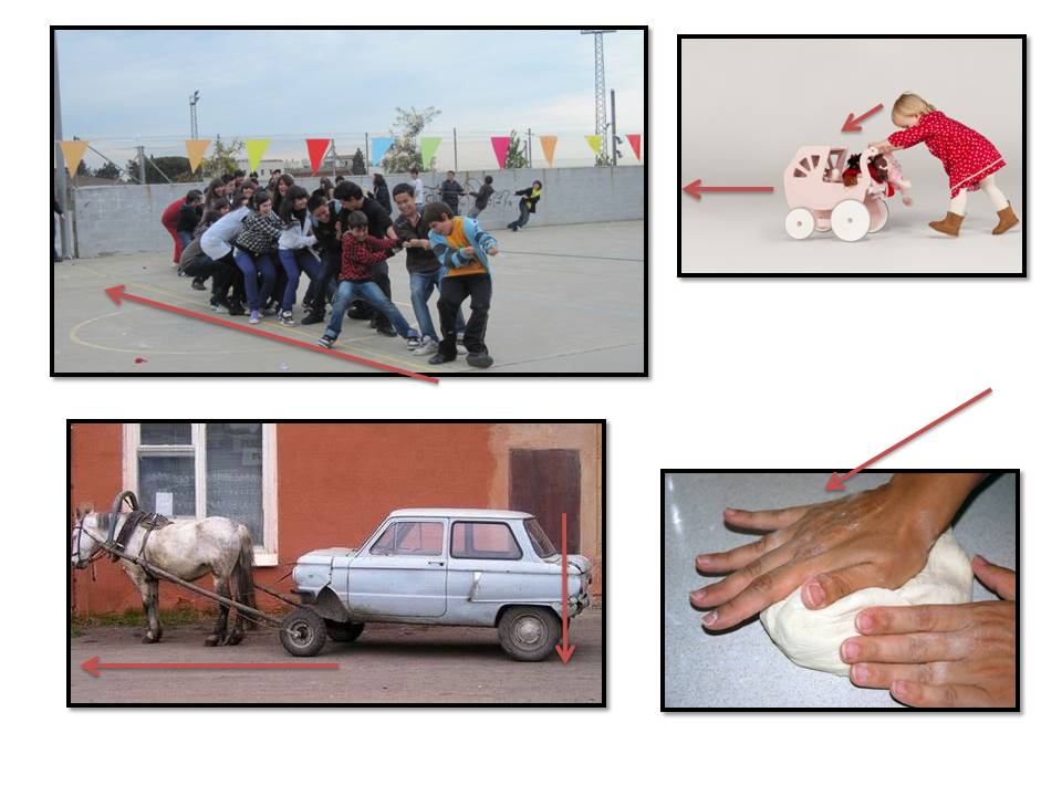Diapositiva7