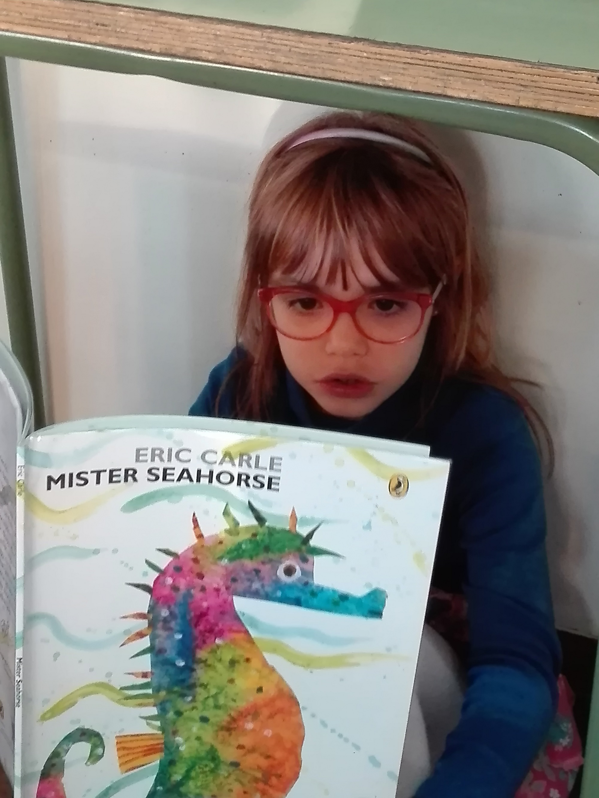 IMG_20181126_165332 (2)