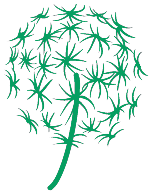 dundelion4b