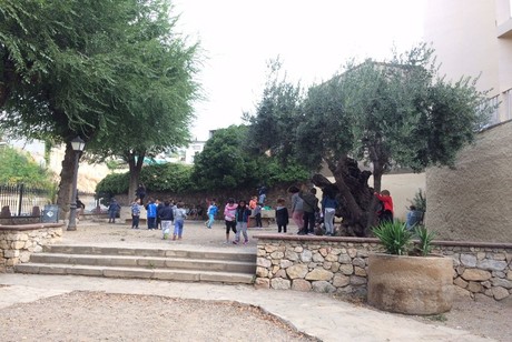 2n-A-02-PHOTO-00000186