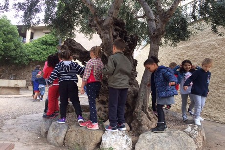 2nA02-PHOTO-00000185