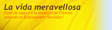 Accedeix al bloc