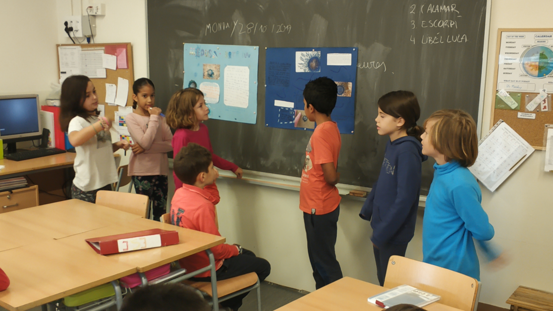 MEDUSA DE BOTÓ BLAU