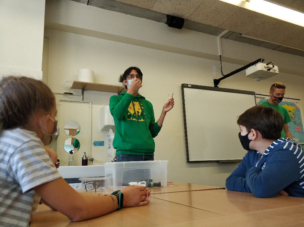 TALLER INVERTEBRATS BIOEDUCA