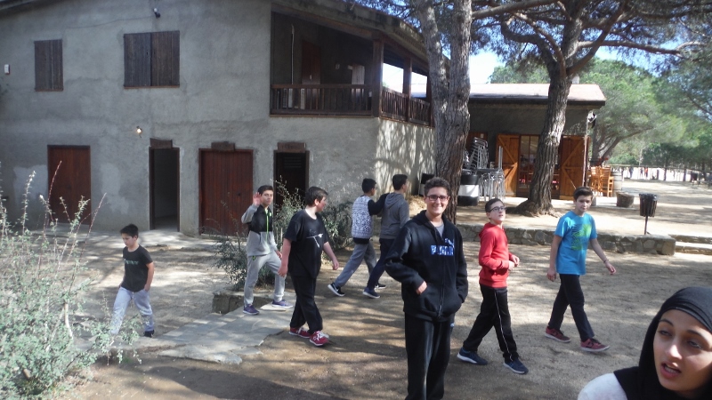 PARC FORESTAL ESO1 (25)