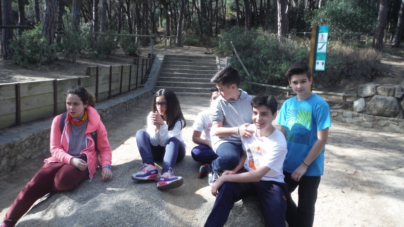 PARC FORESTAL ESO1 (27)