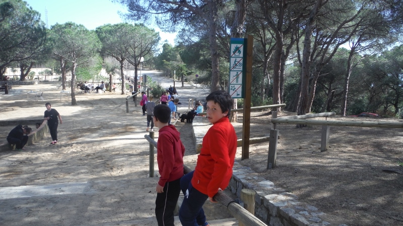 PARC FORESTAL ESO1 (28)