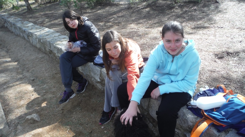 PARC FORESTAL ESO1 (29)