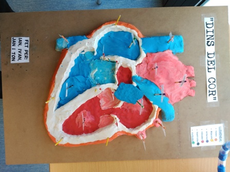 15.maquetes finals (1)