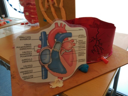 15.maquetes finals (11)