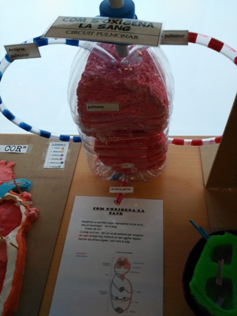 15.maquetes finals (2)