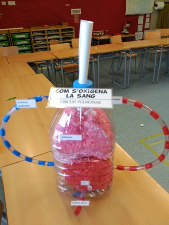 15.maquetes finals (4)