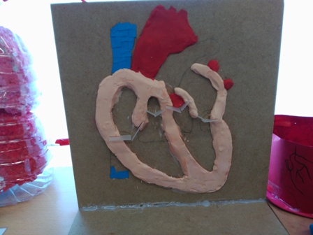 15.maquetes finals (7)