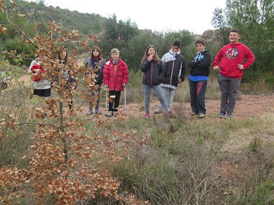 IMG_4046_opt