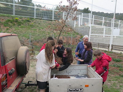 IMG_4139_opt