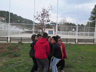 IMG_4140_opt
