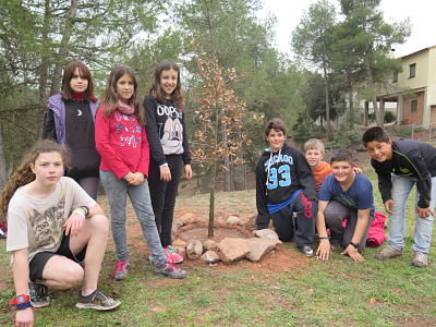 IMG_4144_opt