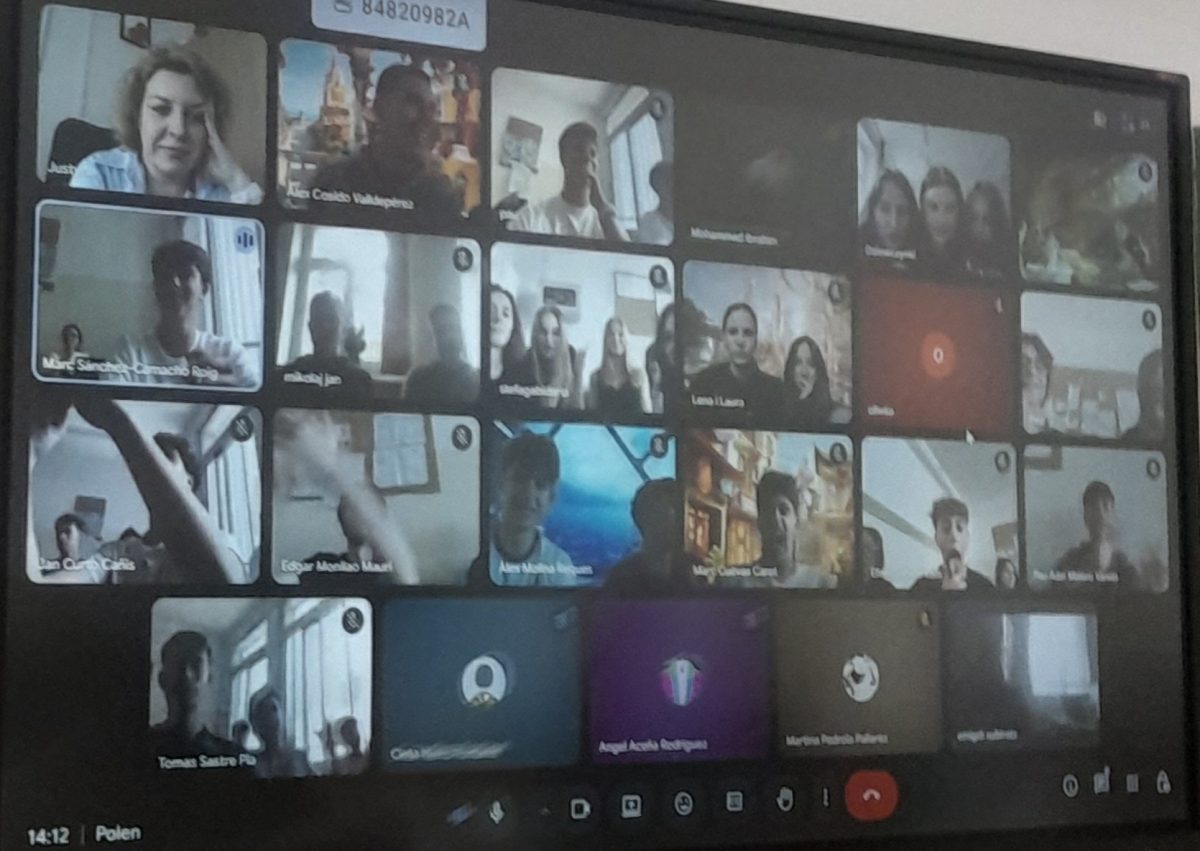 Teilnahme der Schüler und Schülerinnen in der Online Unterricht