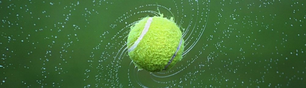 Grup de treball d'Educació Física