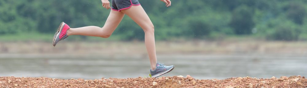 Grup de treball d'Educació Física