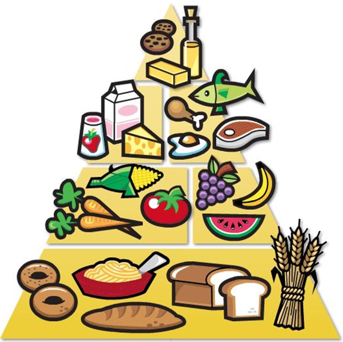 La piràmide alimentària Iolanda Bringué