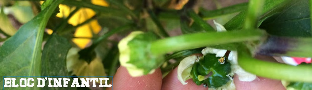 Escola Jaume I – Bloc d'Infantil