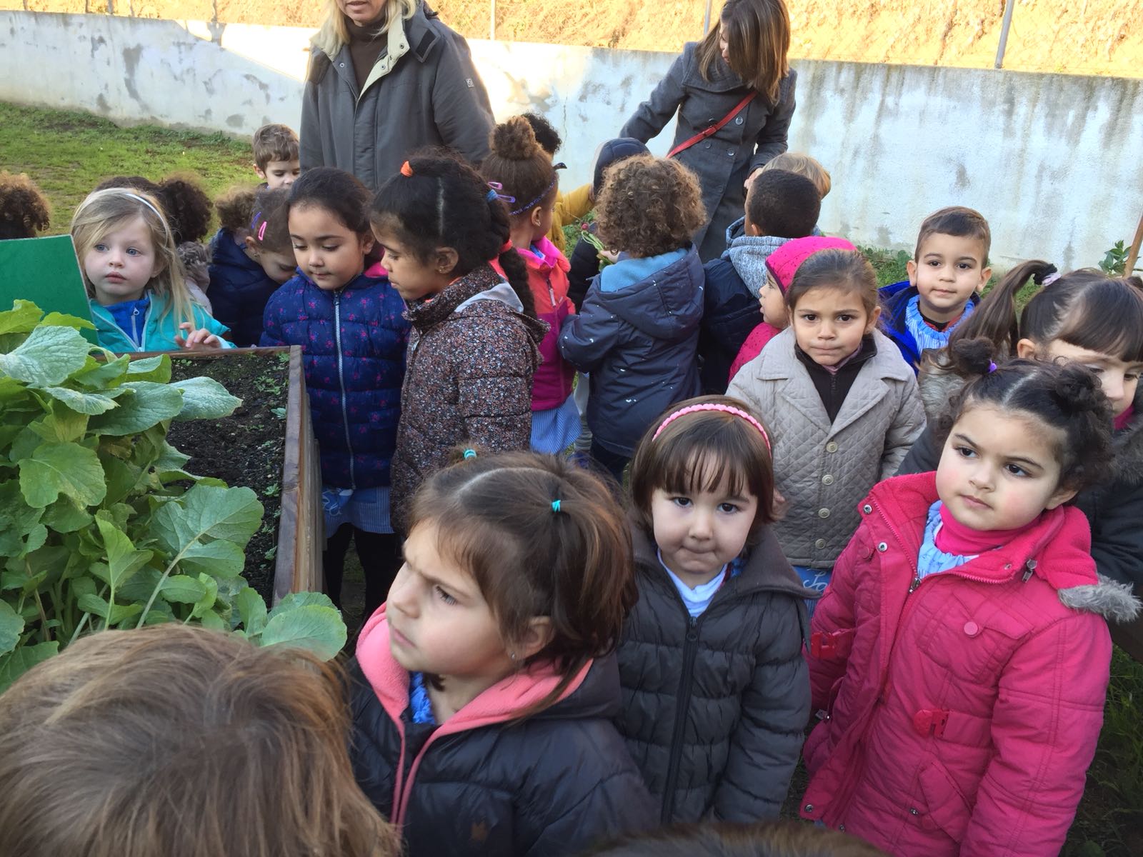 041a36f2-3720-4e59-a502-250a0228c4c2