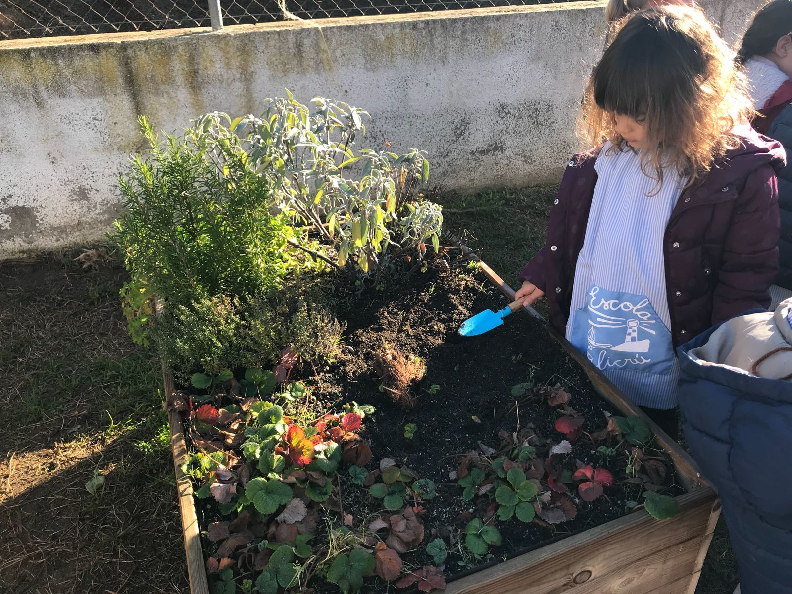 0598b732-a081-4eb3-86fa-81d3f4d2f020