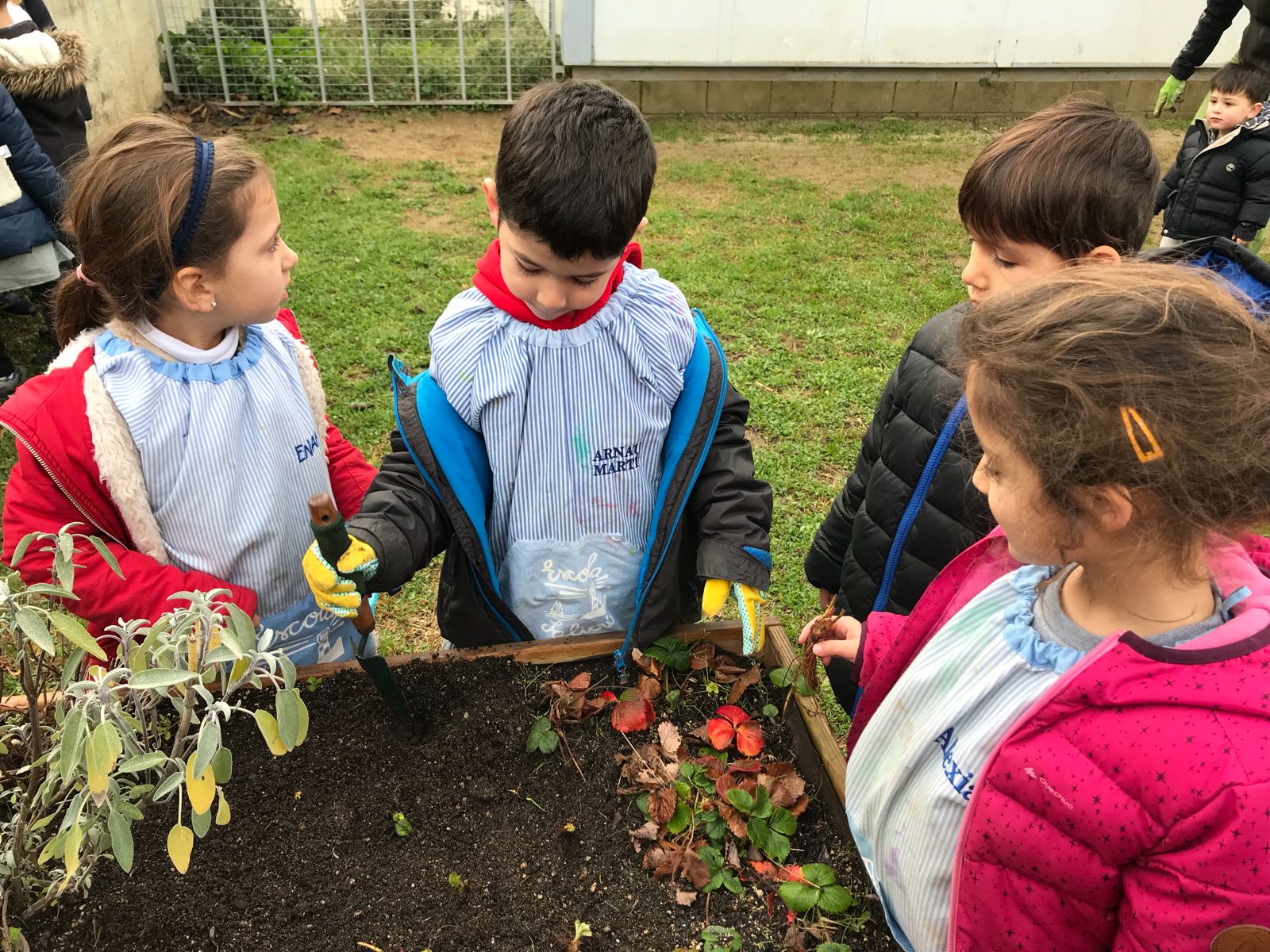 13426875-71d8-4505-a3eb-1fbb9d01be77