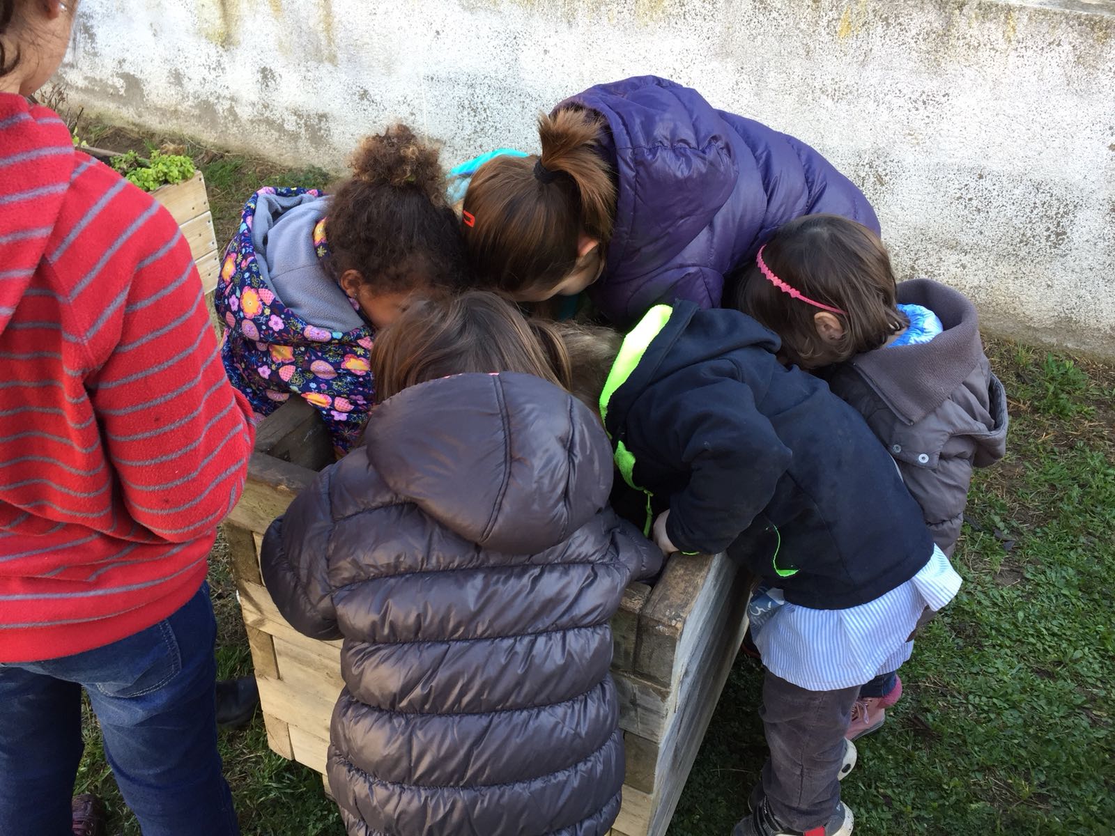 29a60c8e-5aca-4a3a-9825-a3880ea0b3b2