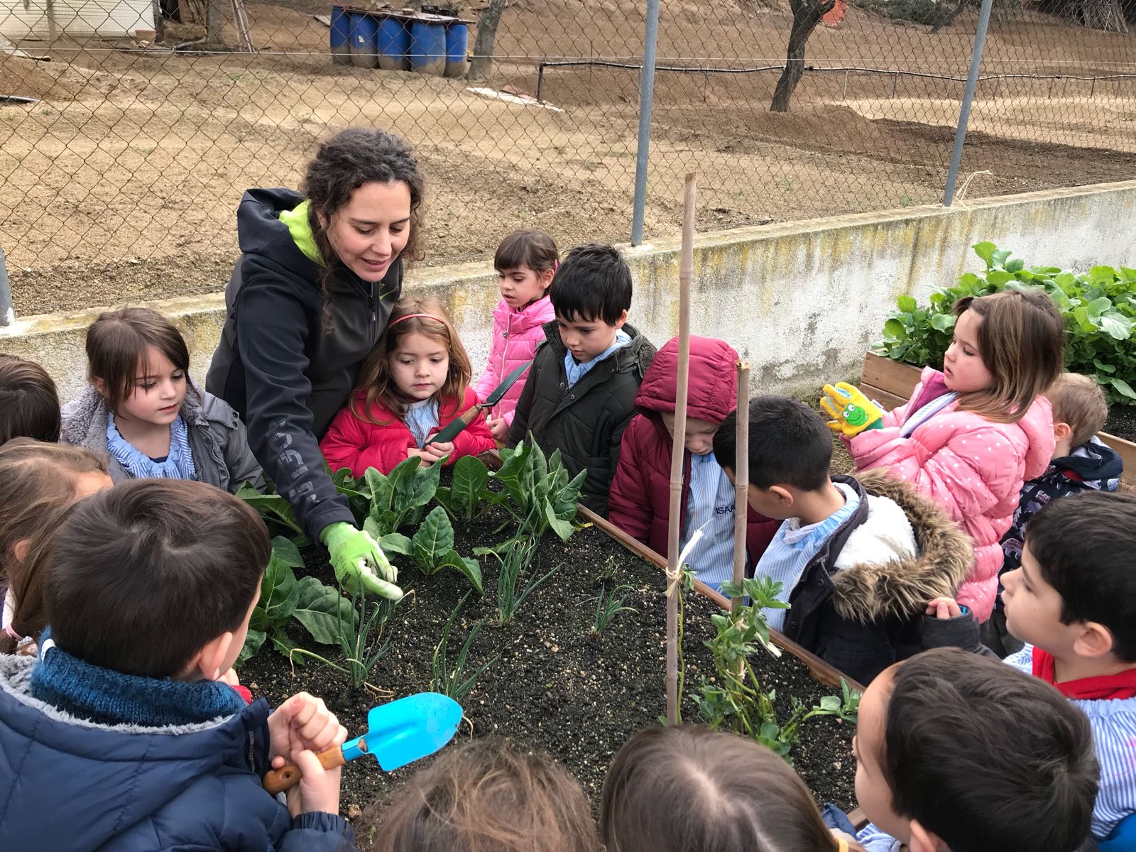 3153cdf3-1742-4f4a-8648-334f5d587a82