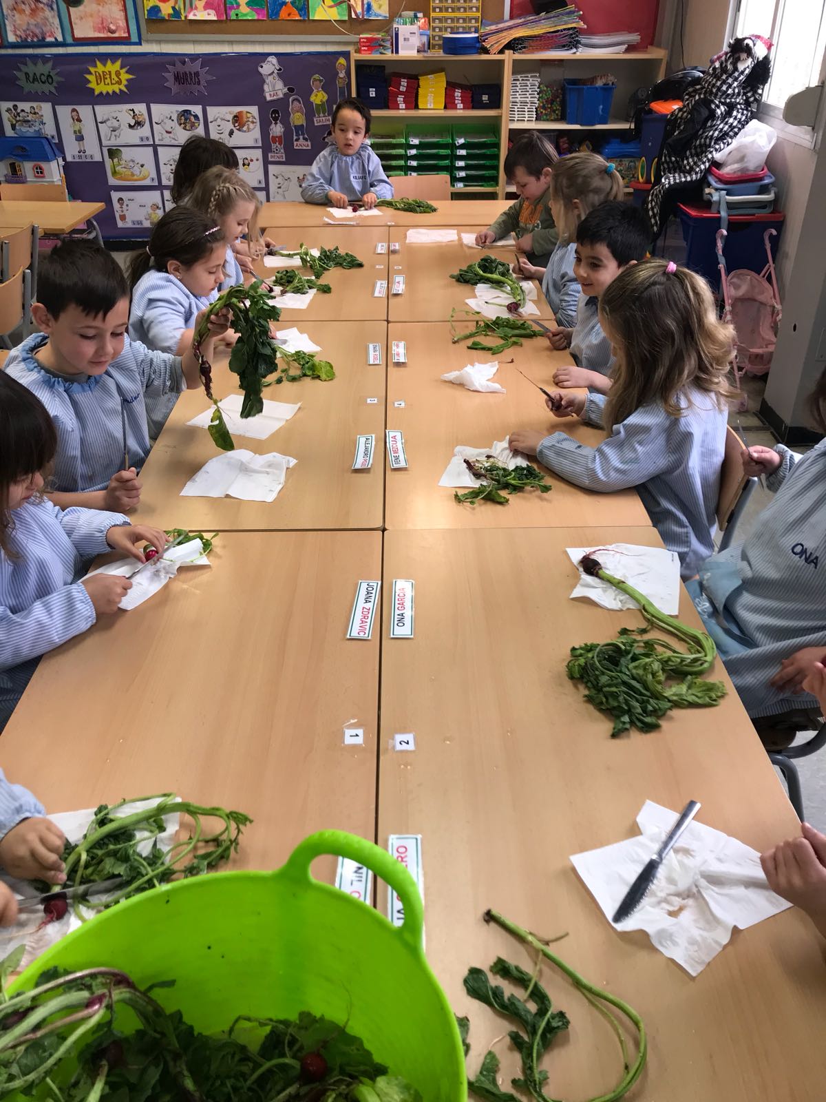 3248d117-9849-423f-b03c-21c41ceb0521