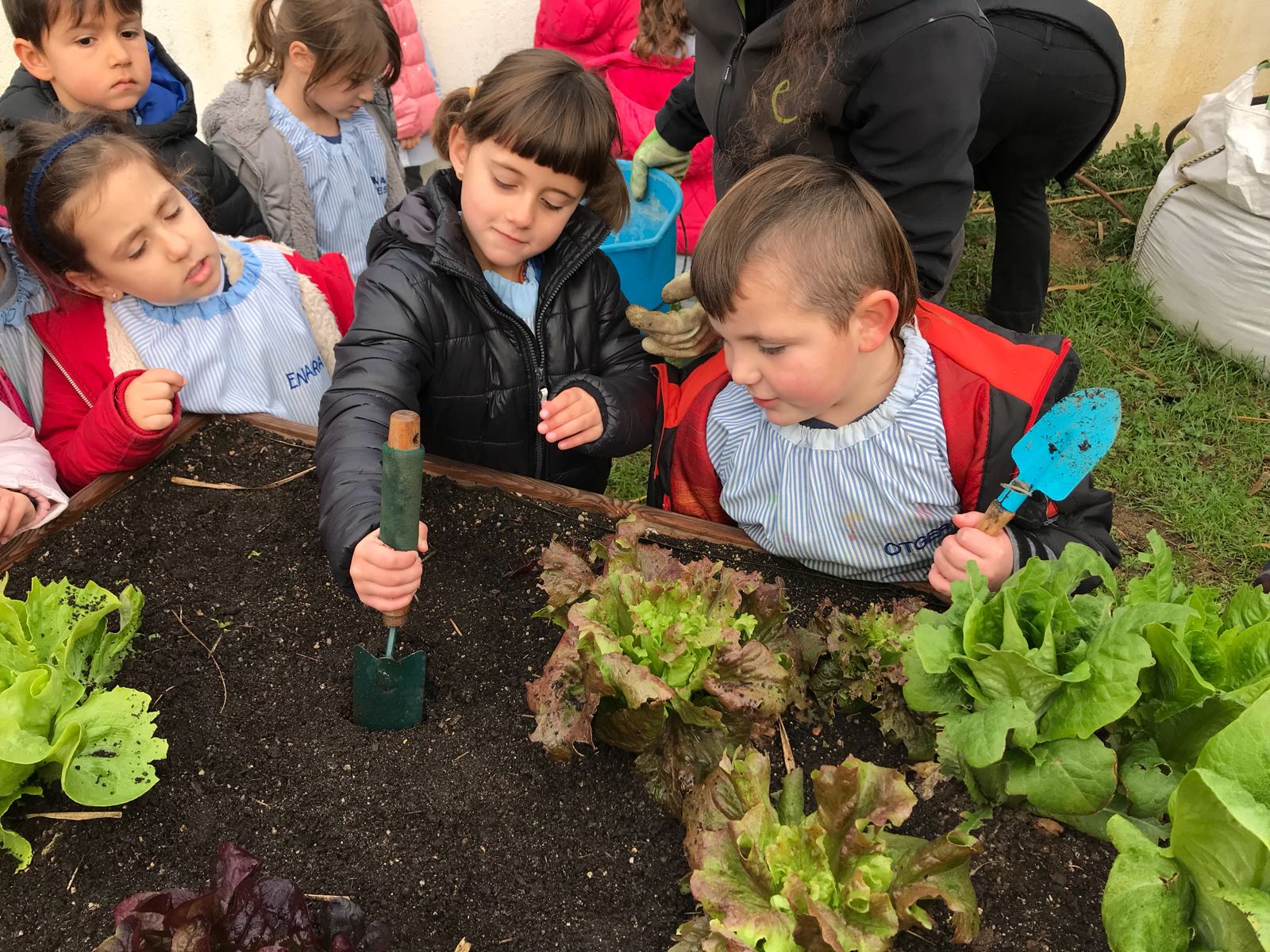 45e47b4f-e7ff-4a95-b693-3c8c37f3b1ad