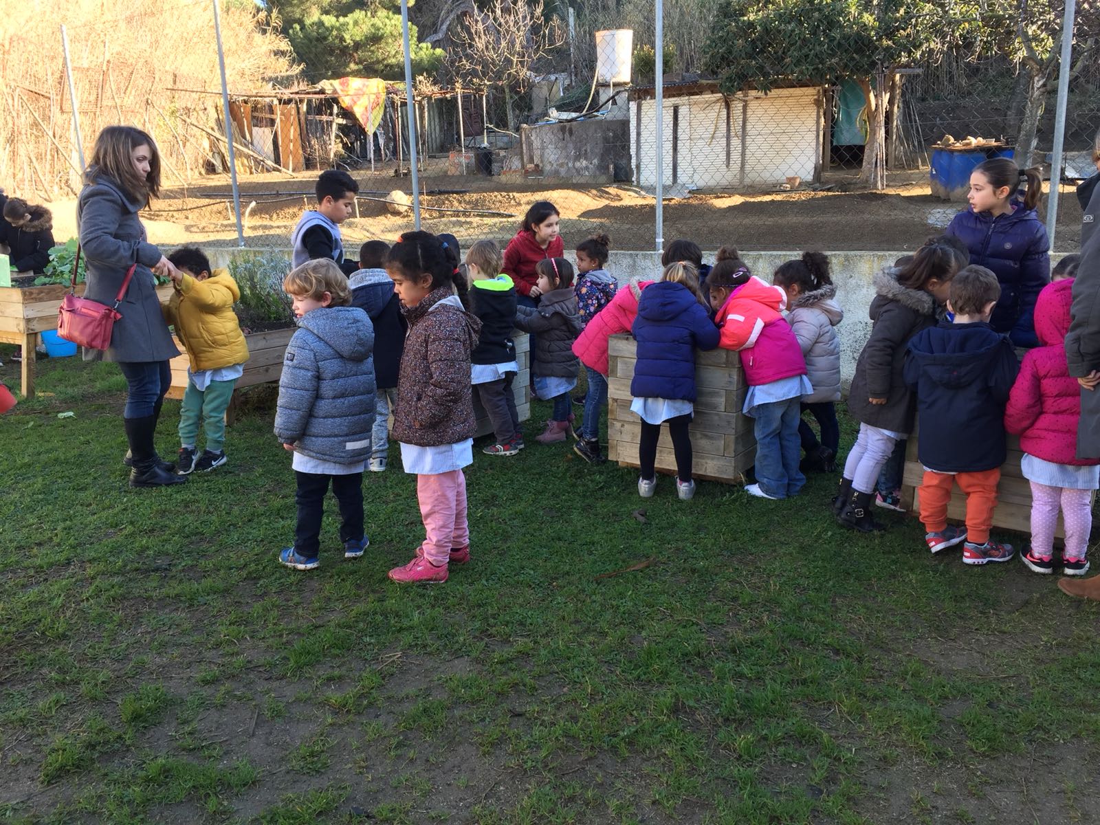 79782462-7450-4f31-ae65-bcad49ab4206