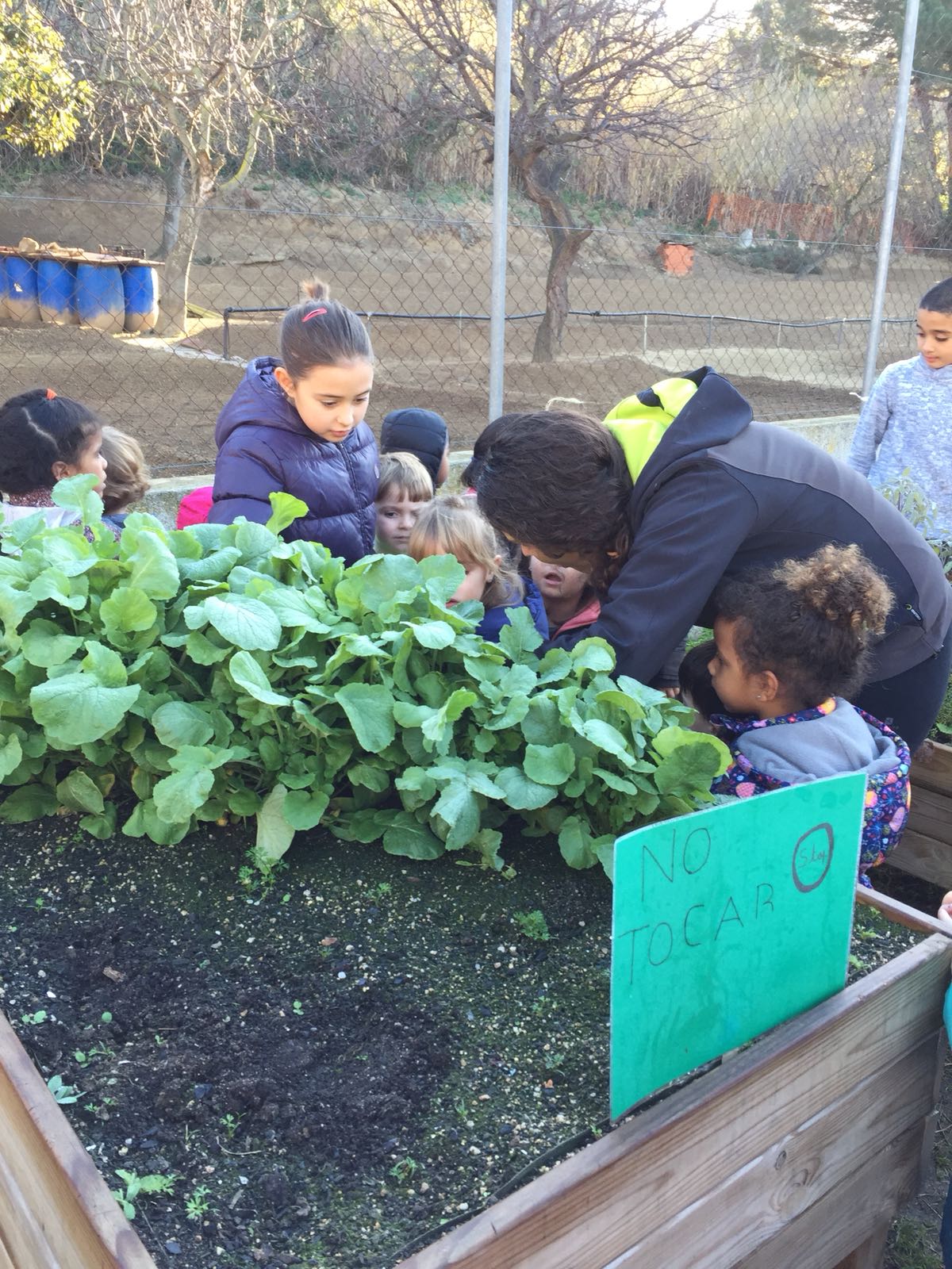 8ed16a04-4c9e-4503-8588-2cecb7f663a5