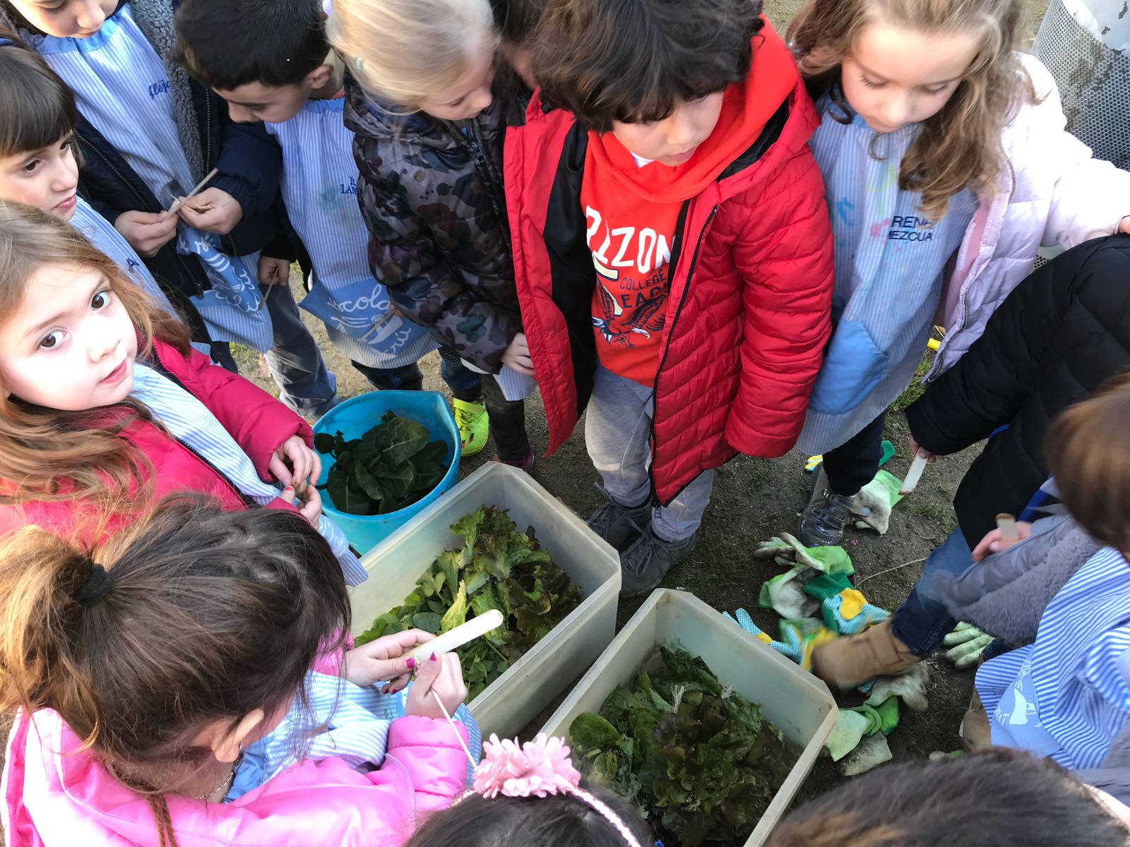 92ec6427-dd8c-4135-8a7c-213d79205af9