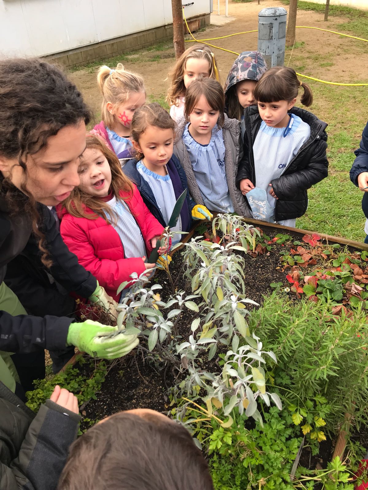 ba4932db-325c-4b2c-bd57-e2089a5e3897