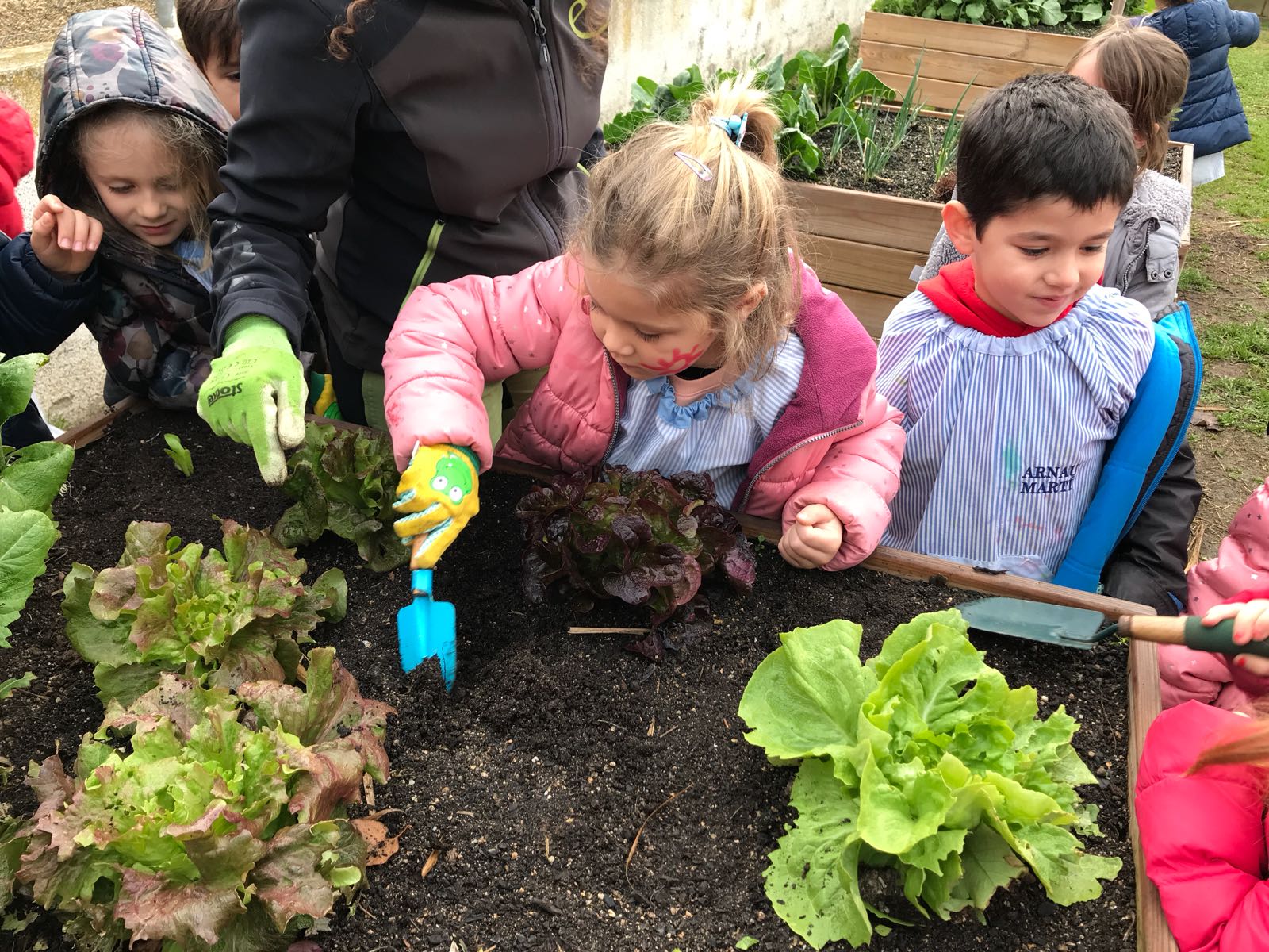 cd5fbed3-a783-4d5f-89bb-15bb4dff03a2