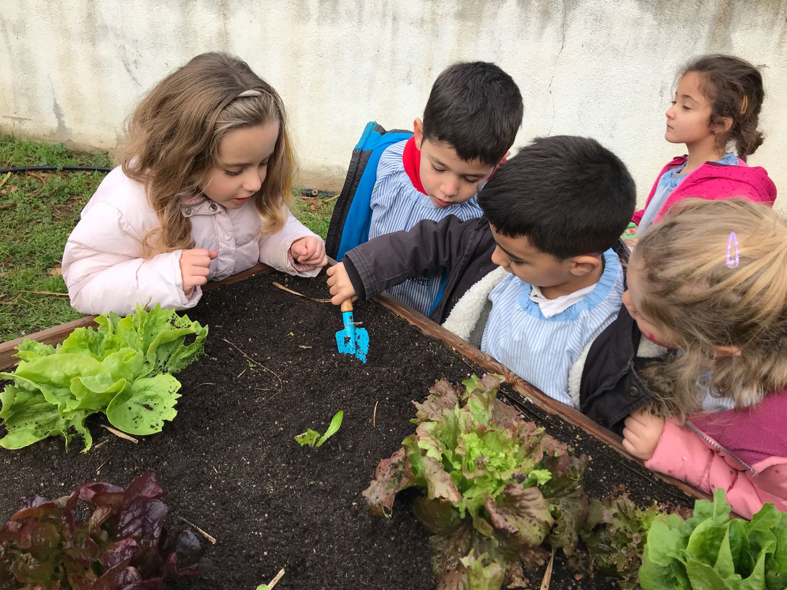 d7fa18f1-488a-4b0e-b443-7e886784bba6