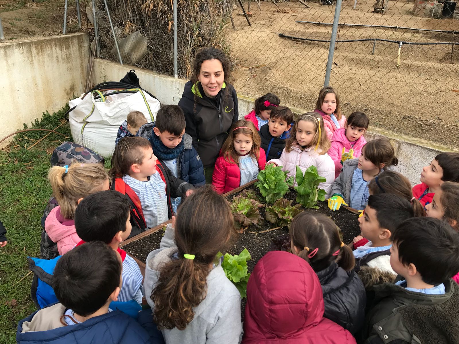 f85533da-34b6-4749-beda-e5af04aec0b2