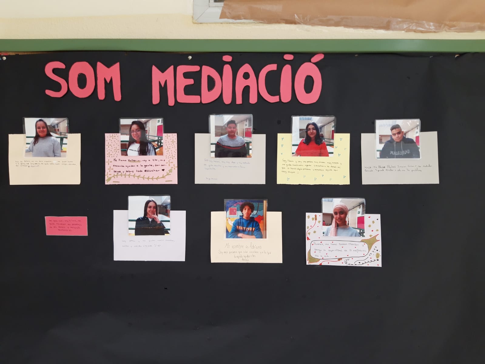 mediacio