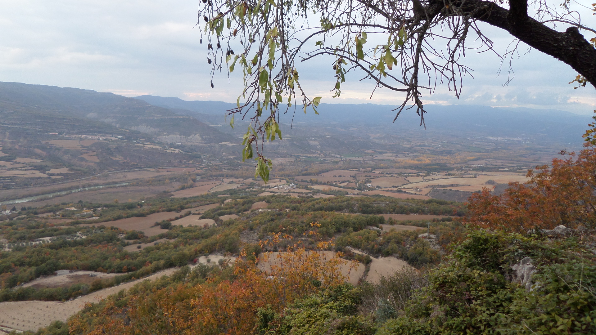 SAMSUNG CAMERA PICTURES